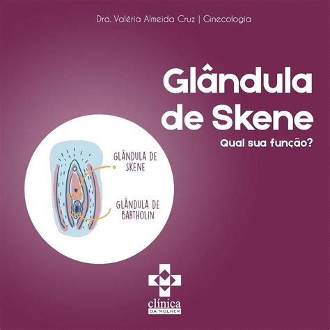 glândulas de bartholin e de skene|Skenes gland